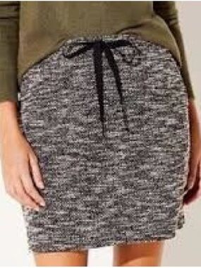 Loft Plus Mini Skirt NWT